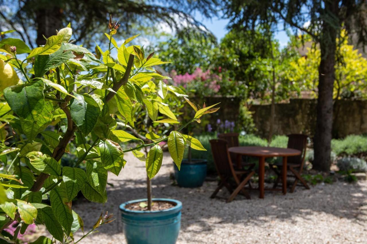לינה וארוחת בוקר Le Jardin De מאזון מראה חיצוני תמונה