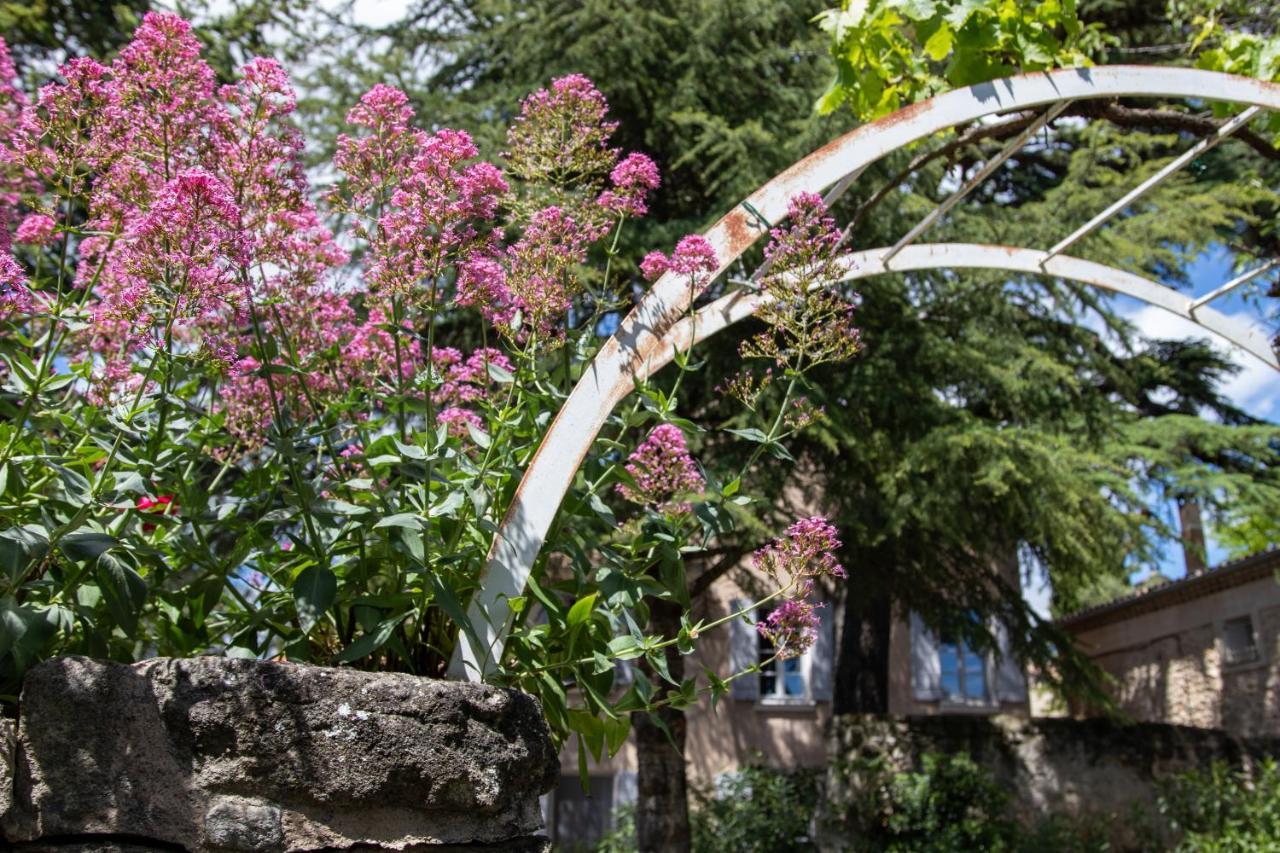 לינה וארוחת בוקר Le Jardin De מאזון מראה חיצוני תמונה